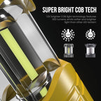 Lichamp LED Camping Lantern, 4 Pack Battery Powered Flashlight for Power Outages, Portable Collapsible Hanging Light Essentia