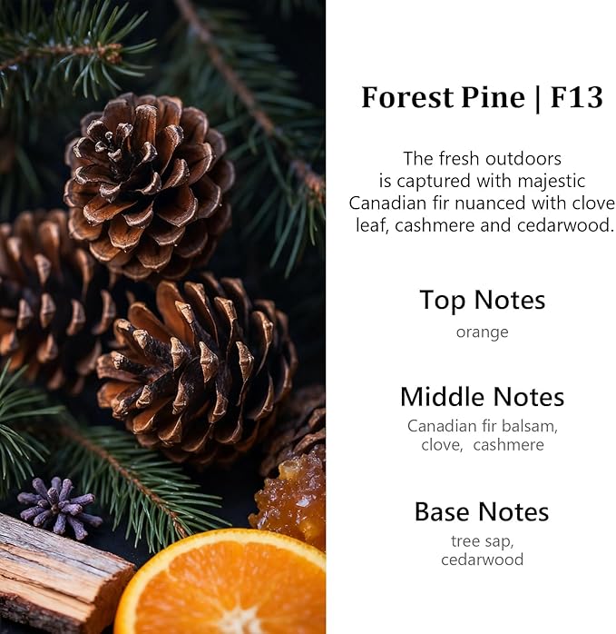 HoogaLife Car Air Freshener Diffuser 2 Pack Hanging Air Freshener Diffuser - Forest Pine Fragrance Oil Air D iffuser for Car,