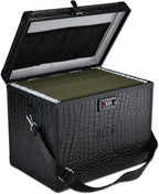 File Storage Cabinet File Organizer Document Organizer File Box in Office and Home with Combination Lock with 20 Letter Size 