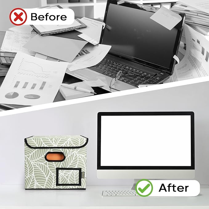 BALEINE File Organizer Box with Lid, Collapsible File Folder Organizer with Plastic Slide, Hanging File Folder Box for Office
