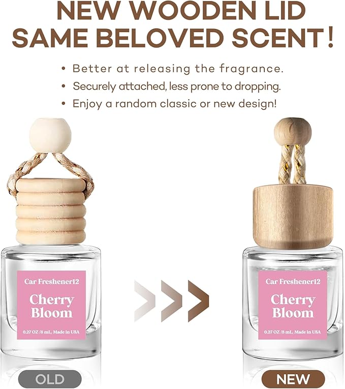 Car Air Freshener Hanging 2 Pack, Air Freshener Diffuser for Cars, Air Fresheners Diffuser oil For Car,Car Air Freshener For 