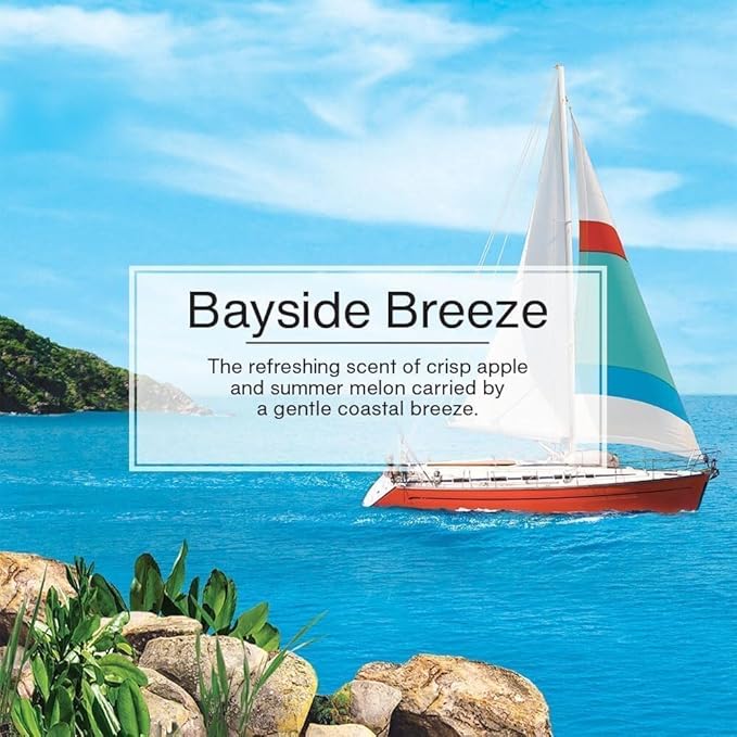 Little Trees Cardboard Hanging Car, Home & Office Air Freshener, Bayside Breeze (Pack of 12)