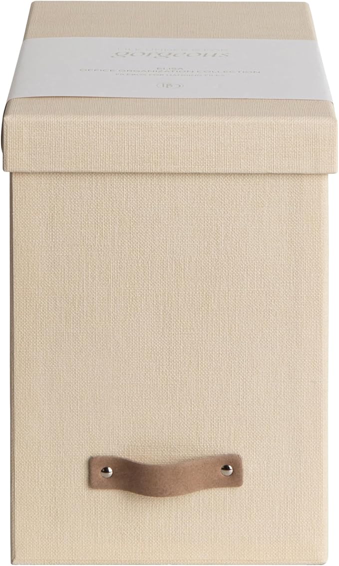 Bigso John File Box - File Storage Box and File Organizer for Important Paperwork - Durable Hanging File Box with Lid and Lea