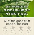 C Classy Car Air Freshener Hanging 2 Pack, M.y W.ay & The One Hotel Essential Oil Diffuser for Cars, Long-Lasting Fragrance, 