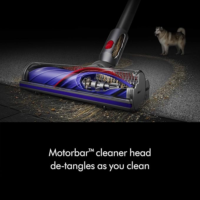 Dyson V8 Plus Cordless Vacuum, Cleans Hard Floors and Carpets, Detangles, Converts to Handheld, 115AW, 2 Power Modes, Up to 4