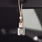 C&E Craft Co Hanging Car Air Freshener Diffuser 2 Pack, Long Lasting Fragrance Oil Car Freshener, Glass Bottle Auto Air Fresh
