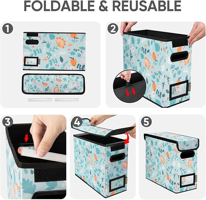 BALEINE File Organizer Box with Lid, Collapsible File Folder Organizer with Plastic Slide, Hanging File Folder Box for Office