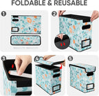 BALEINE File Organizer Box with Lid, Collapsible File Folder Organizer with Plastic Slide, Hanging File Folder Box for Office