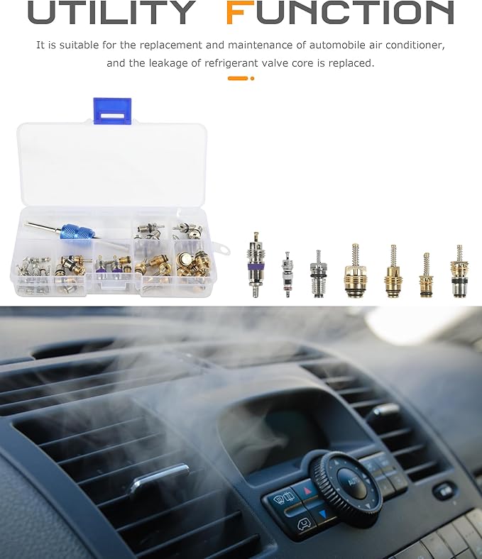 SCUARI 40PCS AC Schrader Valve Kit,AC Valve Core Kit,Car Accessories AC Valve Core Removal Tool,Schrader Valve Removal Tool,A