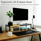 Expandable Kitchen Counter Shelf Organizer, Black Coffee Bar Accessories & Station Decor, Industrial Cabinet Riser with [Secu