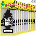 LITTLE TREES Car Air Freshener | Xtra Strength Provides Long-Lasting Scent for Auto or Home | Extra Boost of Fragrance | Blac