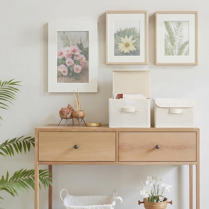 GRANNY SAYS Small Storage Bins with Lids, Small Storage Boxes, Shelf Baskets for Shelf, Collapsible Storage Bins for Living R