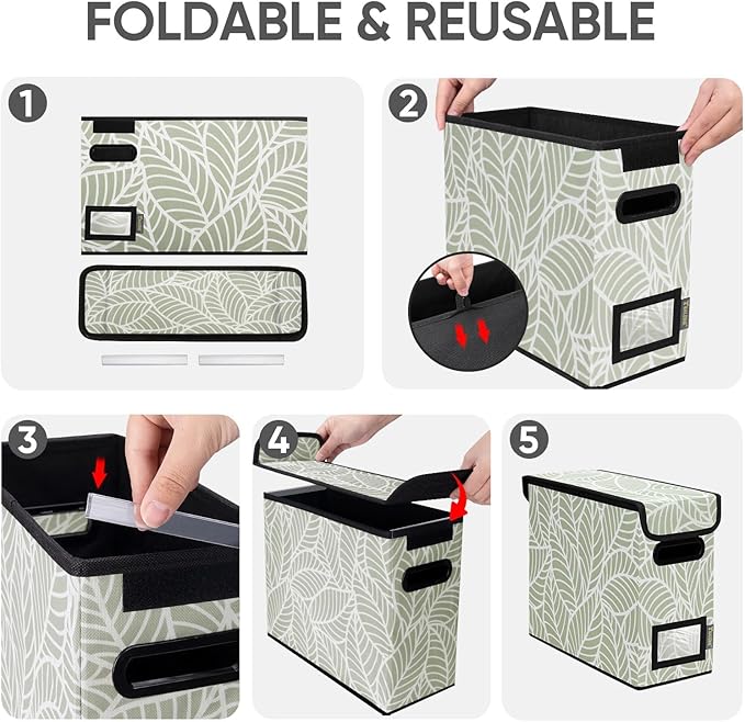 BALEINE File Organizer Box with Lid, Collapsible File Folder Organizer with Plastic Slide, Hanging File Folder Box for Office