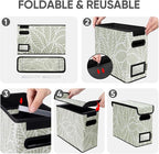 BALEINE File Organizer Box with Lid, Collapsible File Folder Organizer with Plastic Slide, Hanging File Folder Box for Office