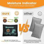 100g x 2pcs Reusable Desiccant Packs for Storage, Color Indicating Silica Gel Packets Moisture Absorbers with Visible Window,