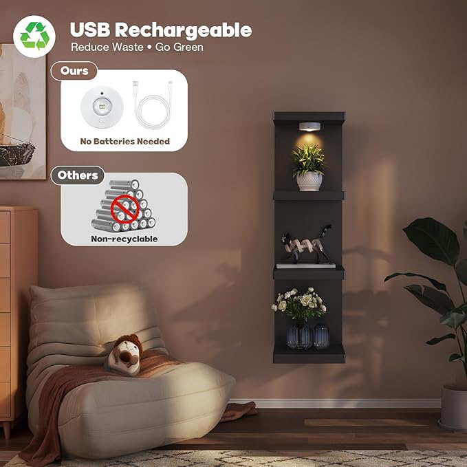 4-Tier Wall Shelf Unit with USB Rechargeable Led Light (Remote Controlled),Versatile Floating Display Shelves,Lack Style Wall