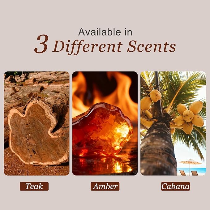 Car Air Freshener - Wooden Air Freshener-Teak Amber Cabana Variety Scent Refill - Long Lasting Natural Car Fresheners - Clip 