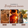 Car Air Freshener - Wooden Air Freshener-Teak Amber Cabana Variety Scent Refill - Long Lasting Natural Car Fresheners - Clip 