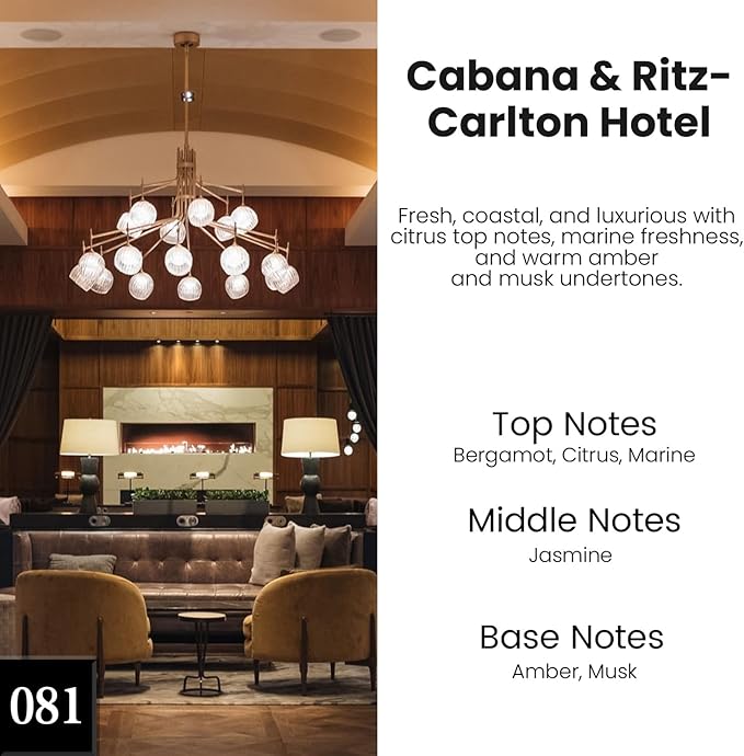 HoogaLife Car Air Freshener Hanging 2 Pack - Hotel Collection Diffuser Oil Inspired by Cabane & Rltz. CarIton Hotel - NO.1012