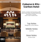 HoogaLife Car Air Freshener Hanging 2 Pack - Hotel Collection Diffuser Oil Inspired by Cabane & Rltz. CarIton Hotel - NO.1012