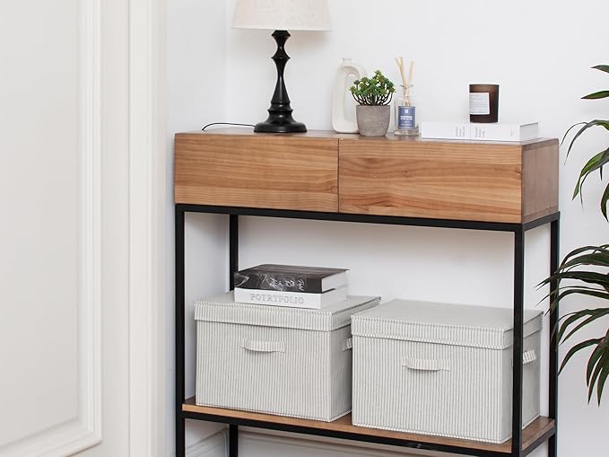 Storage Bins with Under Bed Shoe Storage