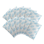 Silica Gel Packets,100 Gram 6 Packets Desiccant Packs, Moisture Absorbers, Rechargeable Silica Gel Car Dehumidifier, Reactiva
