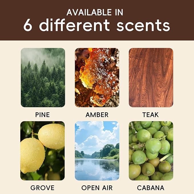 Car Air Freshener Natural Essential Oil Scent, Car Odor Eliminator and Purifier, Vent Clip Air Freshener for Car (Starter/Tea
