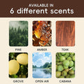 Car Air Freshener Natural Essential Oil Scent, Car Odor Eliminator and Purifier, Vent Clip Air Freshener for Car (Starter/Tea
