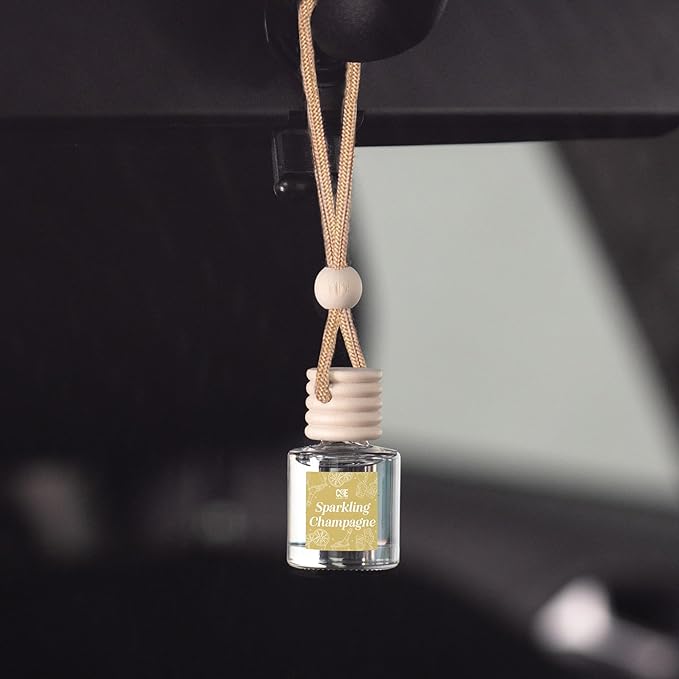 CANDECraftCo Car Air Hanging Fragrance Oil, Car Auto Freshener for Essential Oils, Scents Fragrance Aromatherapy Automobile D