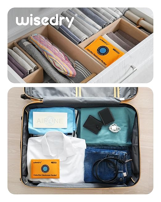 wisedry 100g Rechargeable Color-Indicating Desiccant Packs for Storage, Reusable Silica Gel Desiccant Packets, Moisture