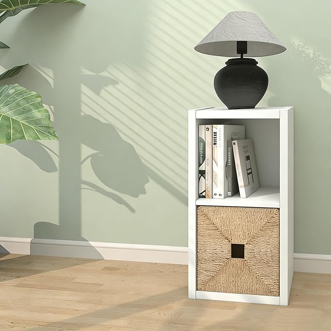 CTESNE【2026 Wooden Thick Frame 2 Cube Storage Organizer Shelf with Anti-Tipping Kits + Reversible Open Back Bookcase, Horizon