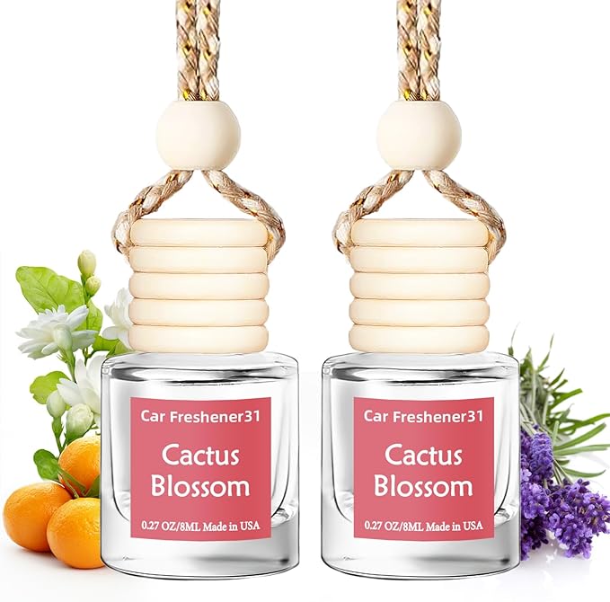 Hanging Car Air Freshener, Long Lasting Essential Oil Diffuser, Non-Toxic New Car Scent, Cute Car Fresheners for Women, 2 Pac