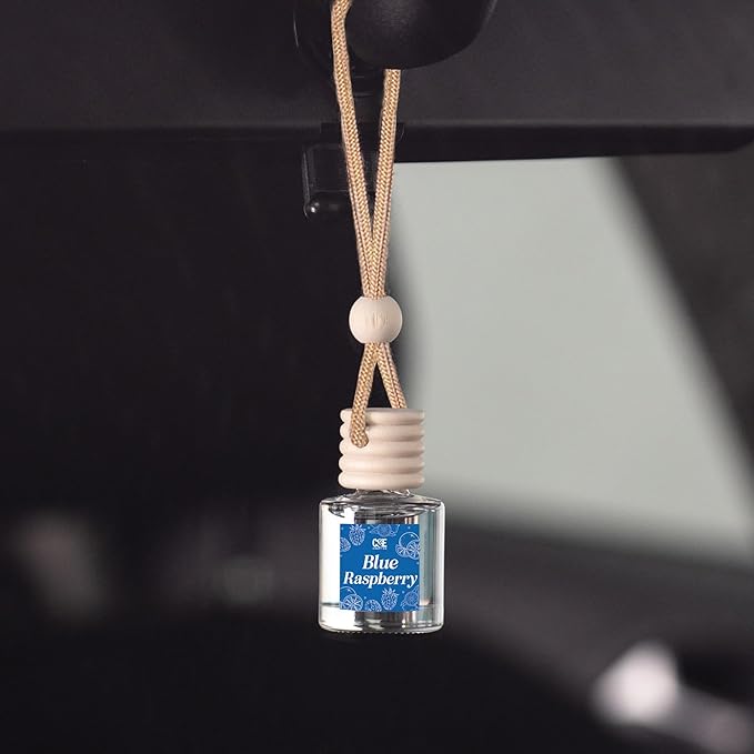CANDECraftCo Car Air Hanging Fragrance Oil, Car Auto Freshener for Essential Oils, Scents Fragrance Aromatherapy Automobile D