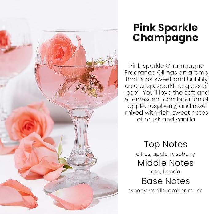 HoogaLife Car Air Freshener Diffuser 2 Pack Hanging Air Freshener Diffuser - Pink Sparkle Champagne Fragrance Oil Air Diffuse