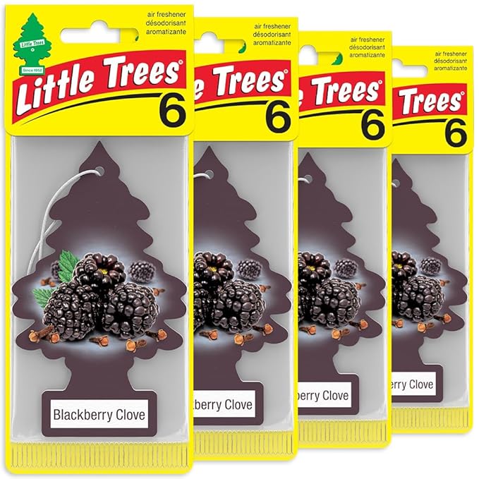 LITTLE TREES Car Air Freshener | Hanging Tree Provides Long Lasting Scent for Auto and Home | 24 Air Fresheners |Blackberry C