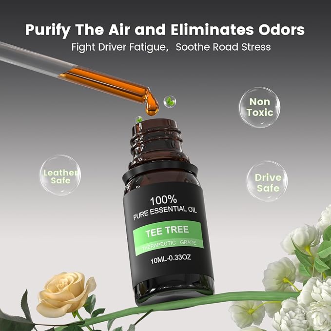 2Pcs Car Air Freshener Vent Clips, Car Diffuser Essential Oils Kit with 5 Different Essential Oils (0.34oz Each) & 12 Refill 