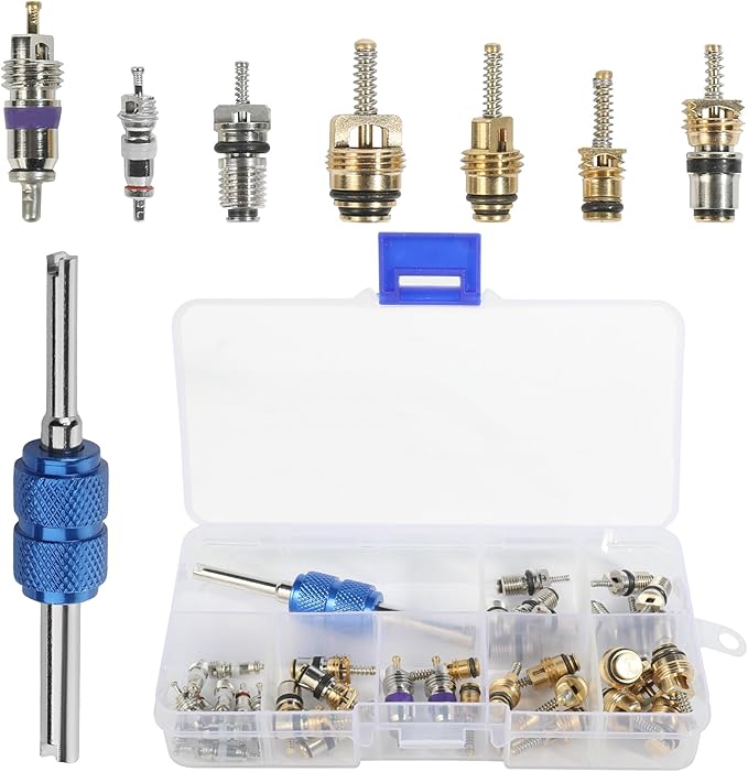 SCUARI 40PCS AC Schrader Valve Kit,AC Valve Core Kit,Car Accessories AC Valve Core Removal Tool,Schrader Valve Removal Tool,A