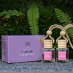 Hanging Car Air Freshener, Long Lasting Scent, Cute Air Fresheners for Women, 2 Pack Non-Toxic Essential Oil Diffuser, Made i