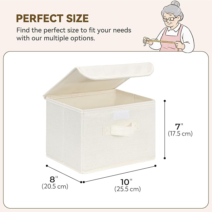 GRANNY SAYS Small Storage Bins with Lids, Small Storage Boxes, Shelf Baskets for Shelf, Collapsible Storage Bins for Living R