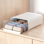 Underwear Organizer Drawer, 10 Cells Plastic Sock Underwear Storage Drawer, Stackable Closet Organizers and Storage Box for B
