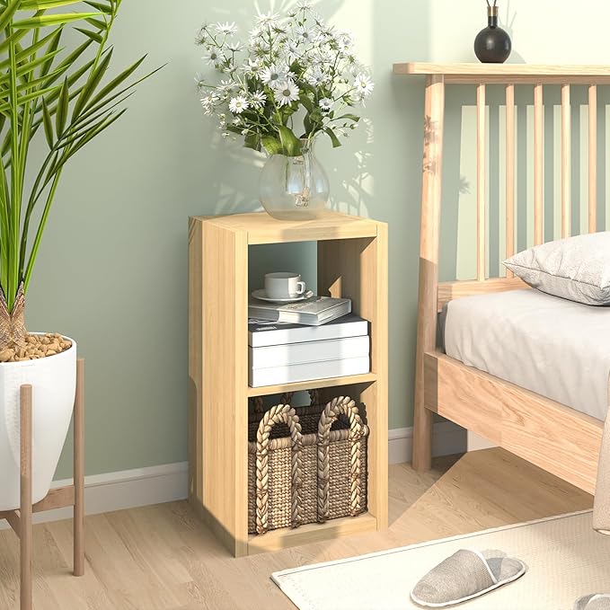 CTESNE【2026 Wooden Thick Frame 2 Cube Storage Organizer Shelf with Anti-Tipping Kits + Reversible Open Back Bookcase, Horizon