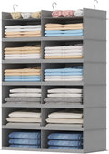 Lifewit Dual-Row Shelf Hanging Closet Organizer and Storage, Clothes Shelves with 3 Sturdy Hooks for Clothing Organization, F