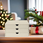 UnionBasic Document Organizer, 3-Drawer File Cabinet Document Storage Box, Office Desktop Filing Organizer, Seashell