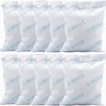 10Pcs 100 Gram Silica Gel Packets, Dessicant Packs for Storage, Pure and Safe Desiccant, Moisture Absorber Silica Gel Beads