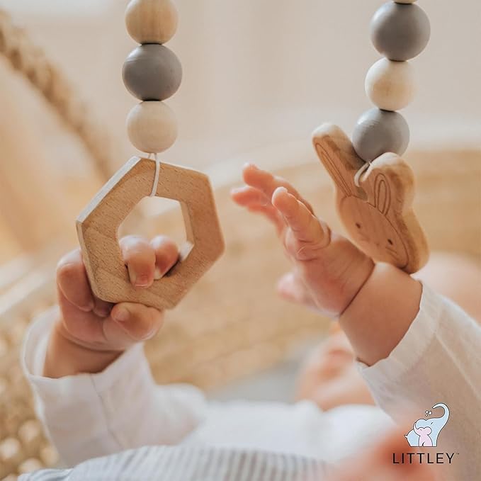Littley Toy & Surface Cleaner | Alcohol-Free HOCl Spray for Baby Toys & High-Touch Surfaces | Fragrance-Free Formula | Gentle