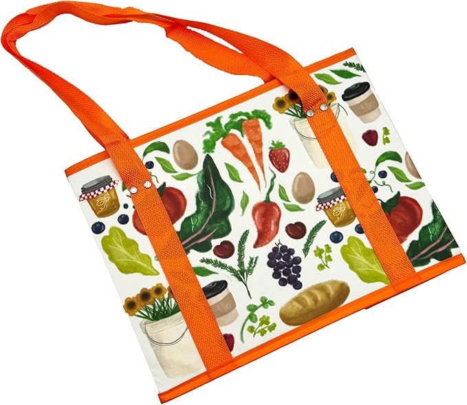 Earthwise Deluxe Collapsible Reusable Shopping Box Grocery Bag Set with Reinforced Bottom Bins Cubes (Set of 3)