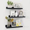 Axeman Picture Ledge Shelf | 16 Inch Black Floating Shelves Set of 3 | Rustic Wood Wall Shelves with Lip | 16" Black Picture 