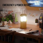 Lichamp LED Camping Lantern, 4 Pack Battery Powered Flashlight for Power Outages, Portable Collapsible Hanging Light Essentia