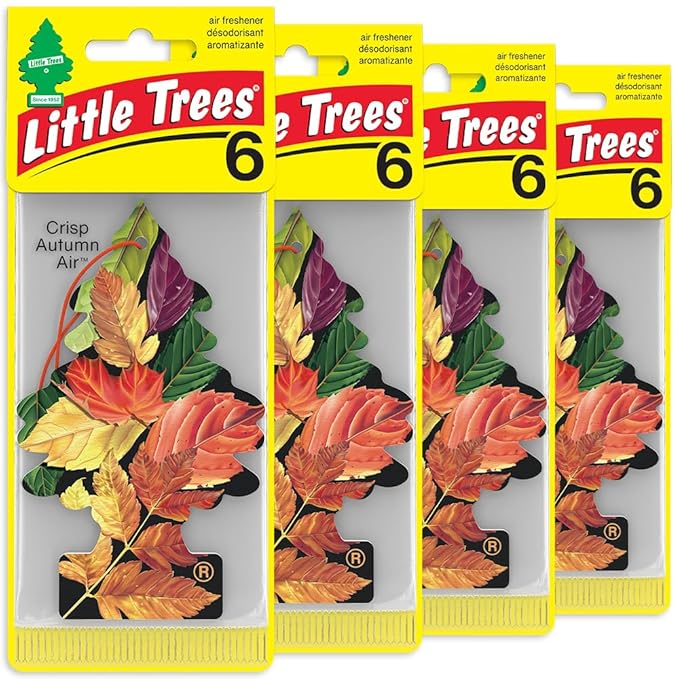 LITTLE TREES Car Air Freshener | Hanging Tree Provides Long Lasting Scent for Auto and Home | Crisp Autumn Air, 24 Air Freshe