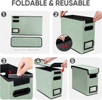 BALEINE File Organizer Box with Lid, Collapsible File Folder Organizer with Plastic Slide, Hanging File Folder Box for Office